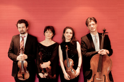 GRINGOLTS QUARTET